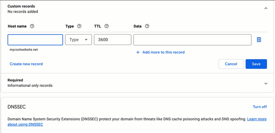 Animated GIF of A Record details being added in Custom records.