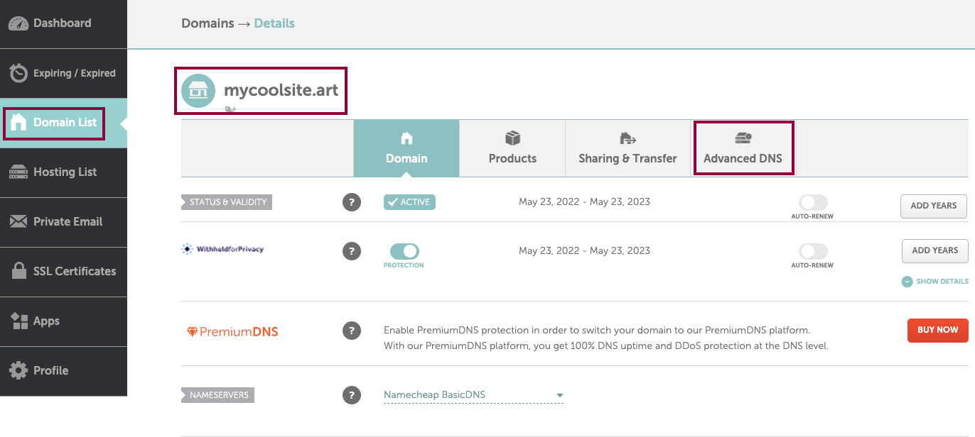 Screenshot of NameCheap and the Advanced DNS tab highlighted.