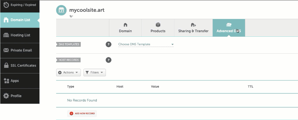 Animated GIF of A Record details being added in Custom records.