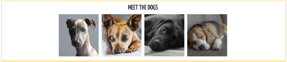 狗收养网页设计底部的屏幕截图。