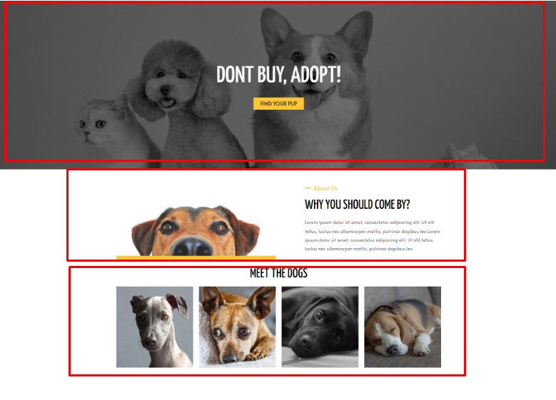 A screenshot of a dog adoption web design divided into three sections.