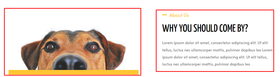 狗收养网页设计中间部分的屏幕截图，有两列。