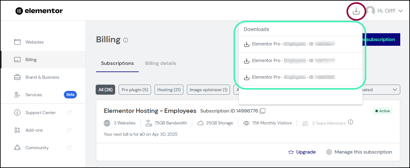 Click the download icon Install & activate Elementor Pro 3