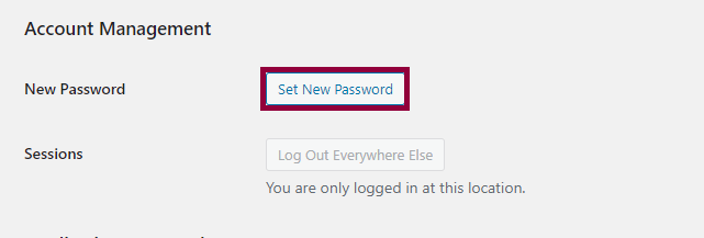 The Account Management section with Set New Password selected.