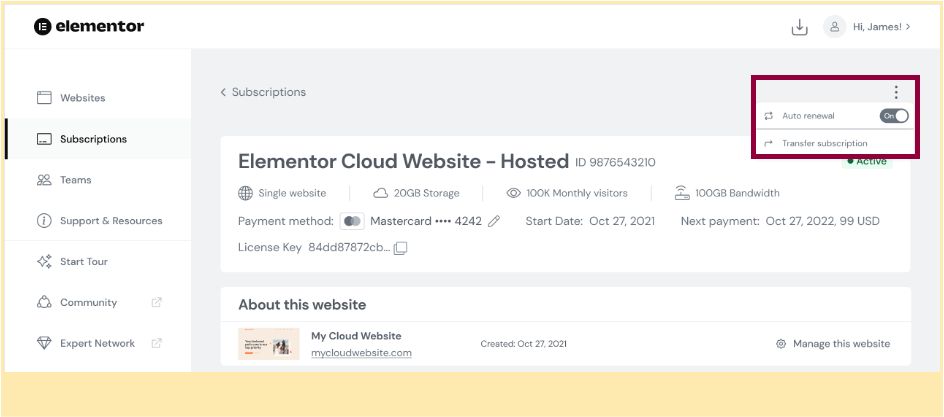 Screenshot of Elementors Subscription window with the ellipsis menu open.