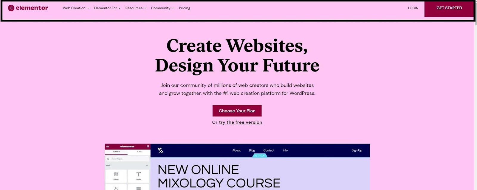 Elementor 网站的屏幕截图，标题在顶部突出显示。