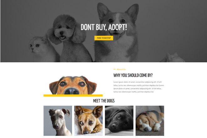 狗收养网页设计的屏幕截图。
