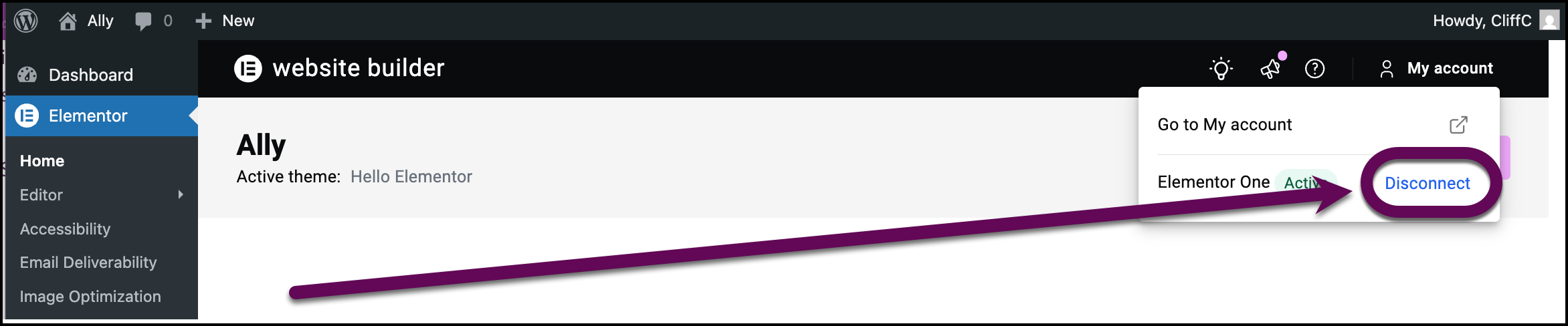The button to disconnect your license