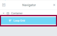 The Navigator with Loop Grid selected 