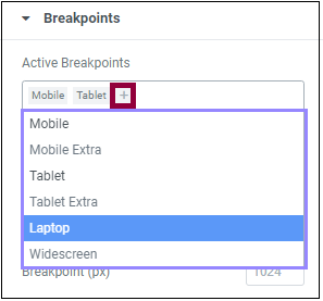 The custom breakpoint menu.