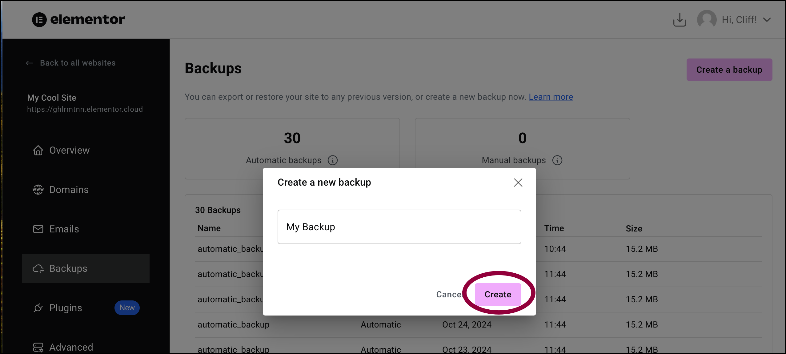 Click Create Back up your Elementor Hosting website 7