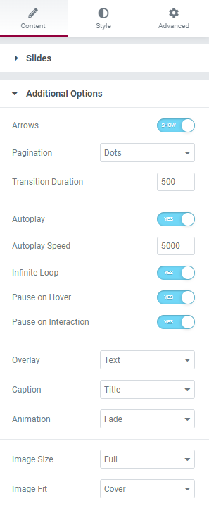 Content tab additional options Basic Media Carousel widget 117