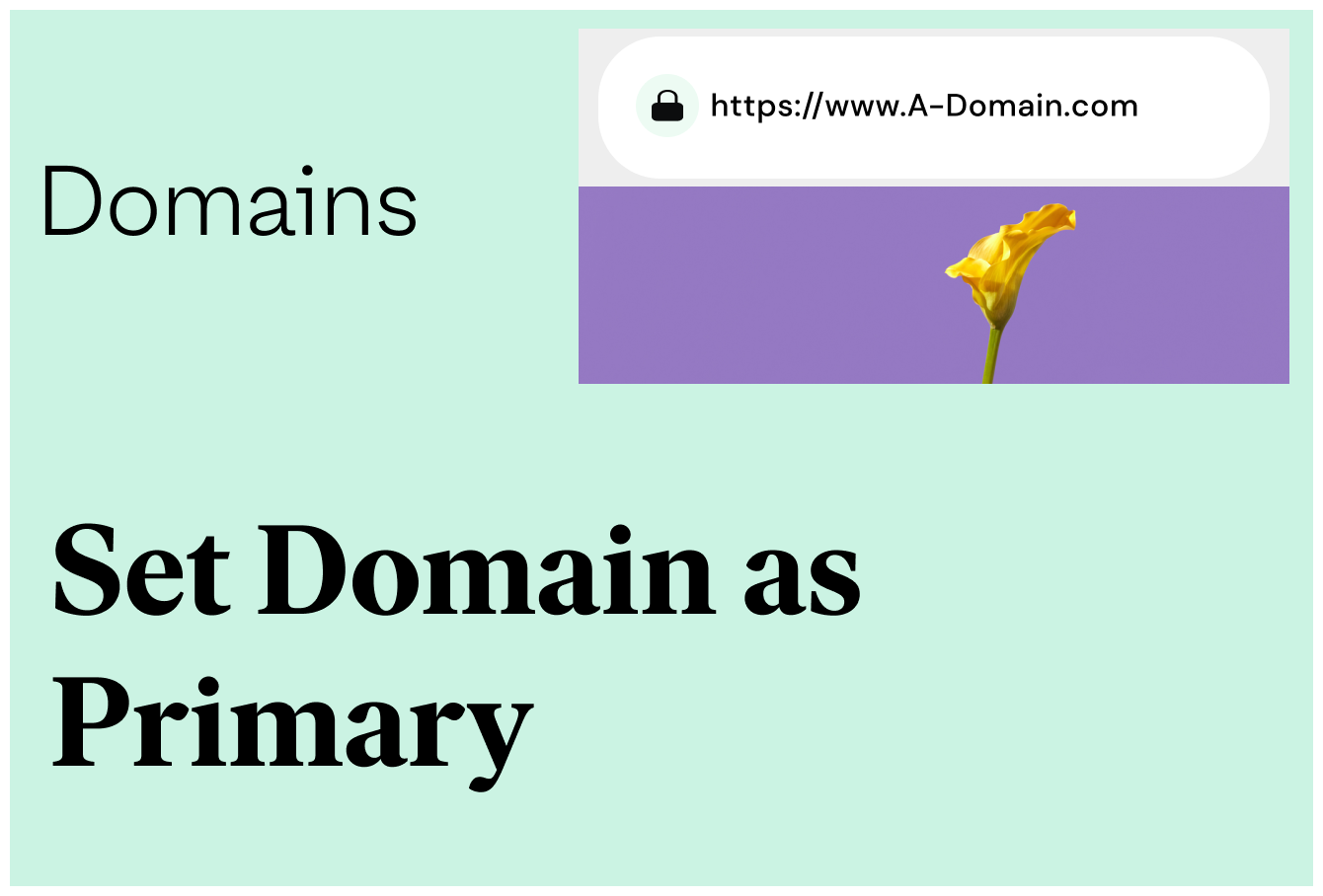 Set a Custom Domain as Primary | Elementor
