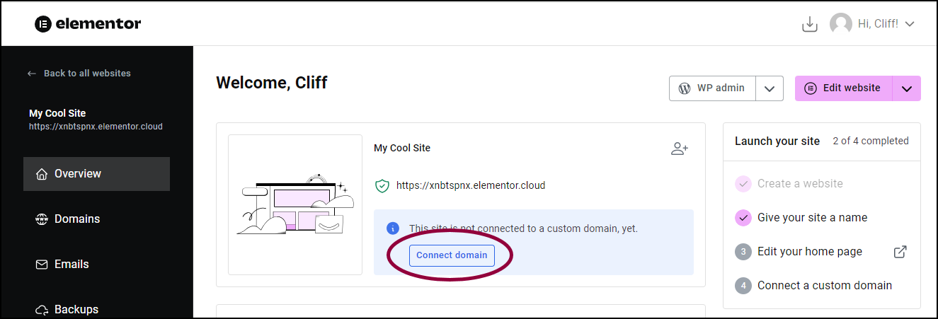 Click Connect Domain Connect your Bluehost domain 3