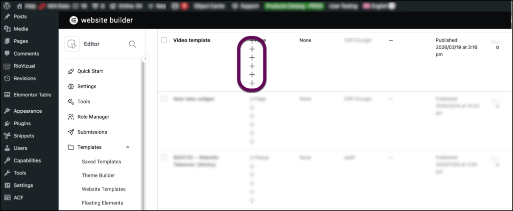 The WPML plus option