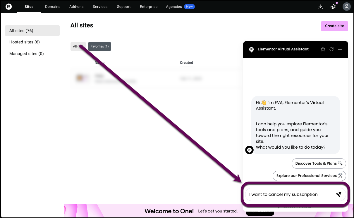 The phrase "I want to cancel my subscription" in the chat.