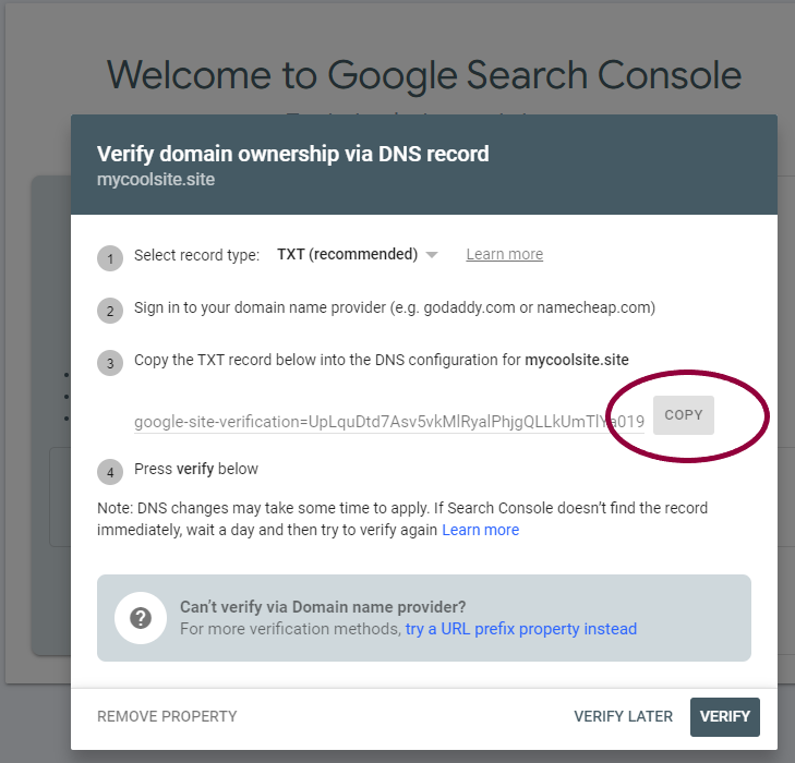 image 156 Verify your site with Google Search Console using a DNS record 17