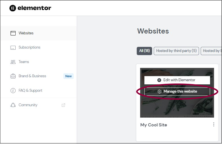 image 1 Change your Elementor Hosting website name 61