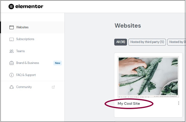 image Change your Elementor Hosting website name 1