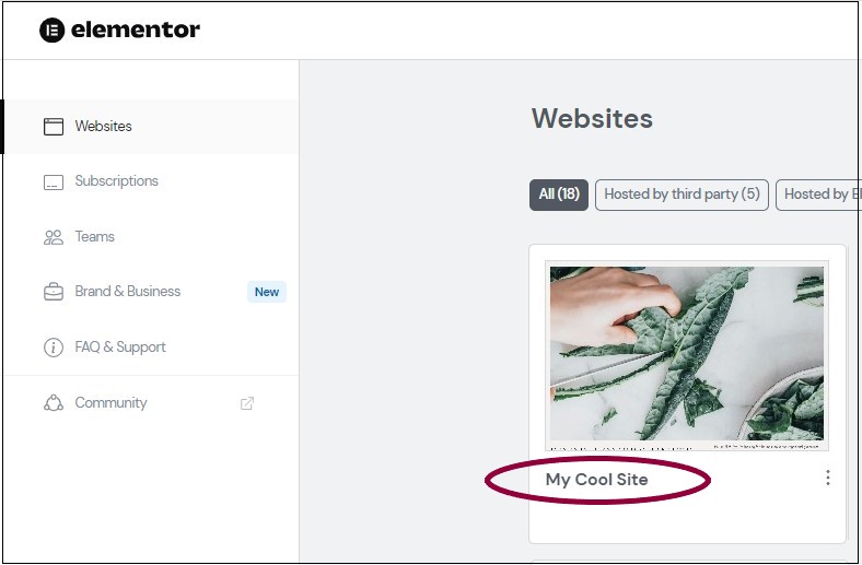 image Change your Elementor Hosting website name 15