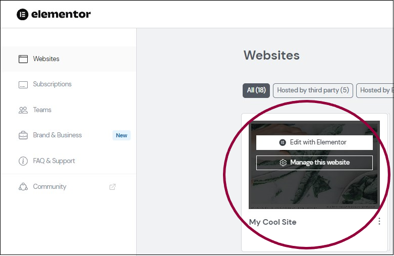 image Change your Elementor Hosting website name 17