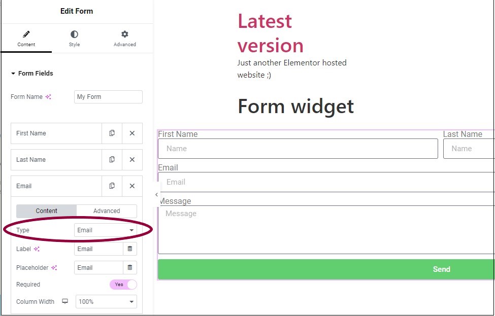 15 Select the email type Form widget 465