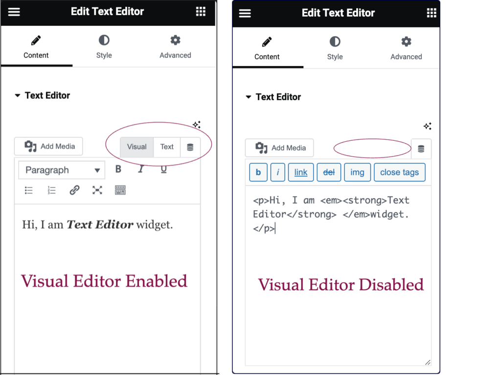 Comparison 1 Visual and Text tabs are missing from the Text Editor widget 1