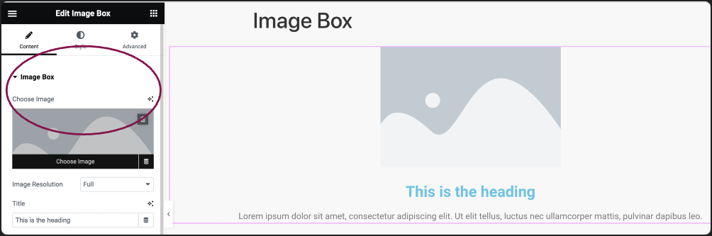 choose image Image Box widget 169