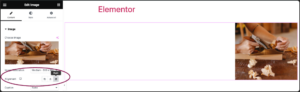 How to Use The Elementor Image Widget | Elementor
