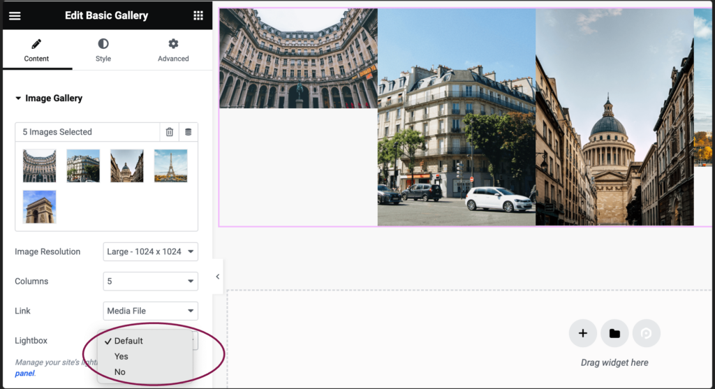 Basic Gallery widget | Elementor