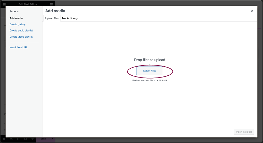 select files Create a PDF download button 5