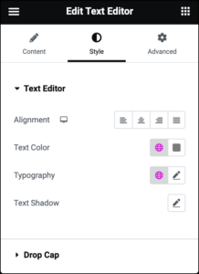 How to Use the Text Editor Widget | Elementor.com