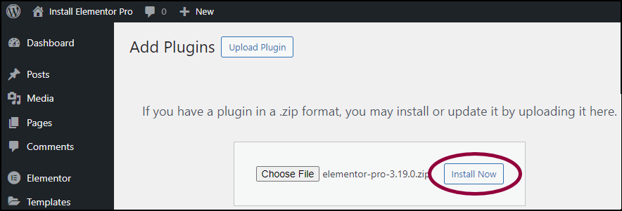 image 14 Install & activate Elementor Pro 11