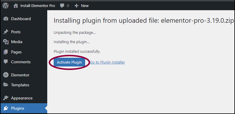 image 15 Install & activate Elementor Pro 13