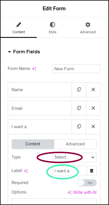 image 16 Add custom labels and values to a form's fields 26