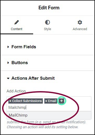 image 51 Integrate forms with MailChimp 11