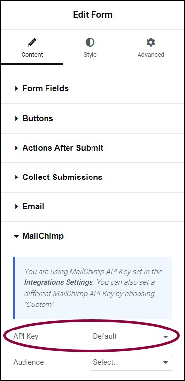 image 53 Integrate forms with MailChimp 28