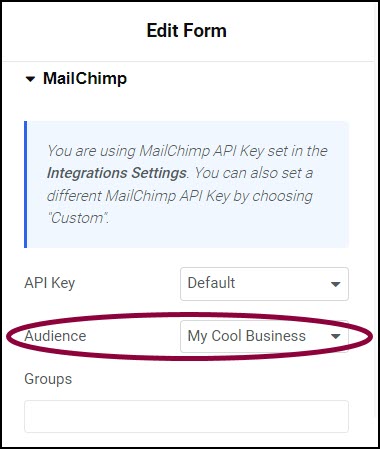 image 54 Integrate forms with MailChimp 30