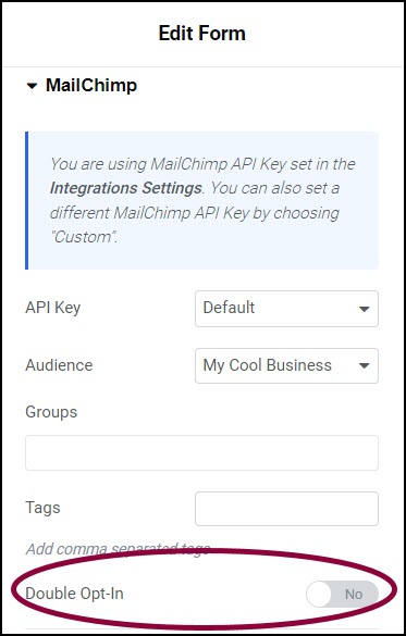 image 56 Integrate forms with MailChimp 21