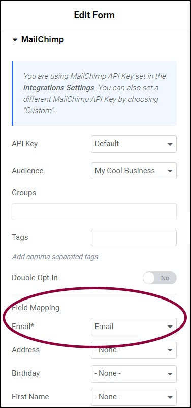 image 57 Integrate forms with MailChimp 36