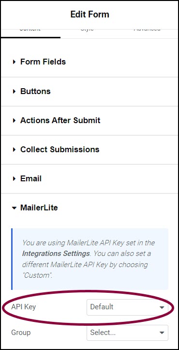 image 65 Integrate forms with MailerLite 15