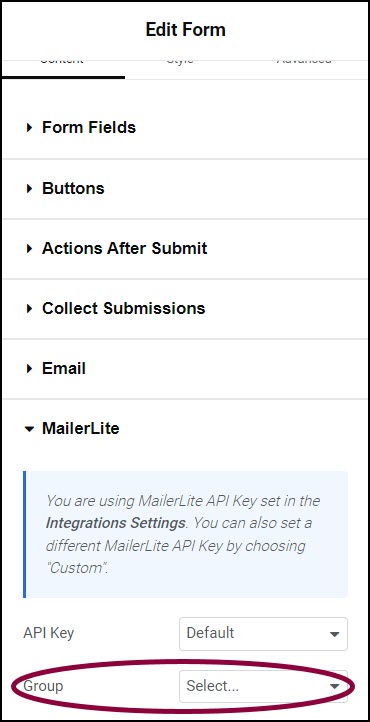 image 66 Integrate forms with MailerLite 17