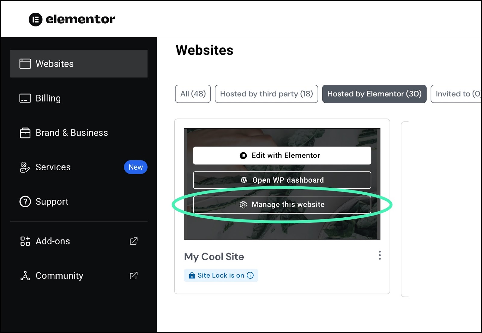 image Manage your plugins with the My Elementor dashboard 33