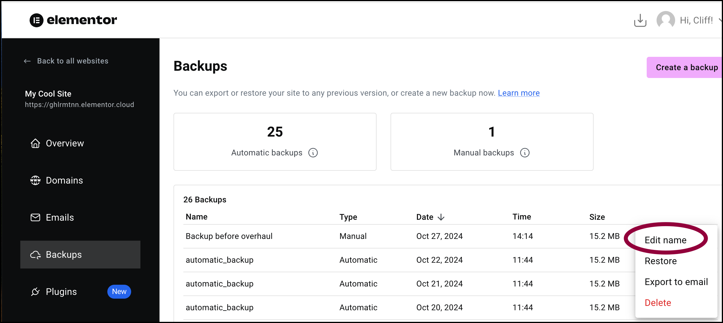 Click Edit Name Manage your Elementor Hosting backups 15