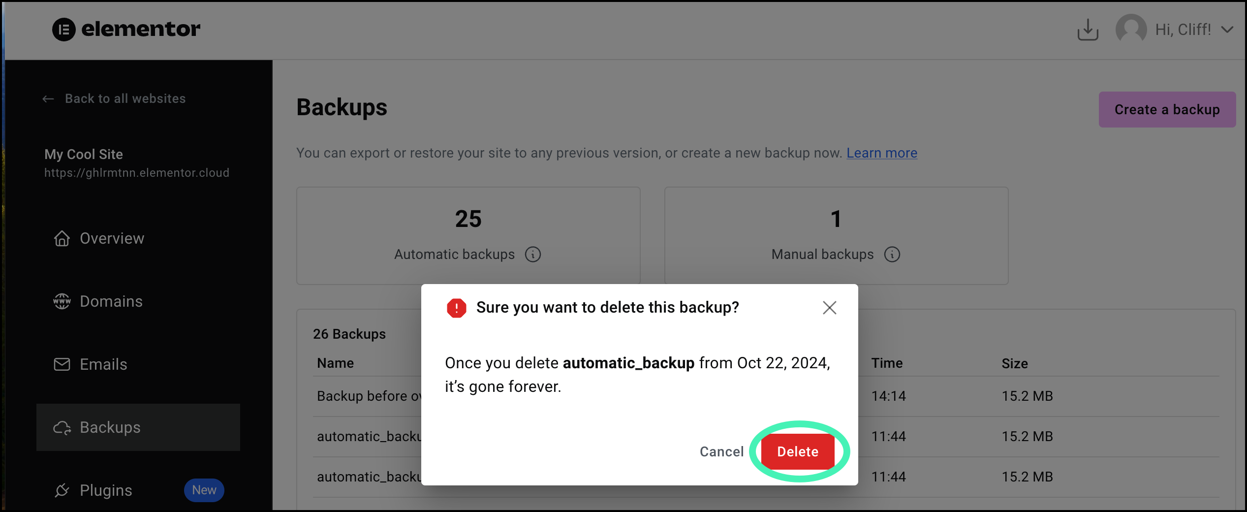 Click delete to confirm deletion Manage your Elementor Hosting backups 25