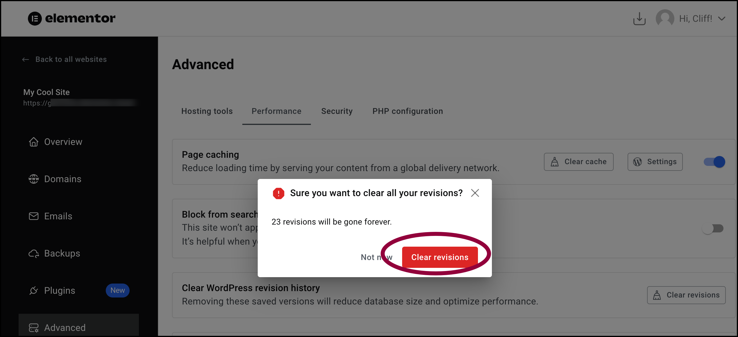 Confrim with clear revisions Clear revision history for Elementor Hosting websites 9