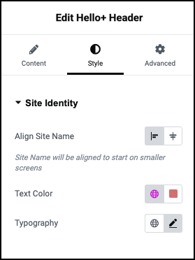 Style tab Site Identity 1 Customize your Hello Biz Header 431