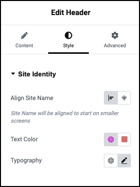 Style tab Site Identity Customize your Hello Biz Header 441