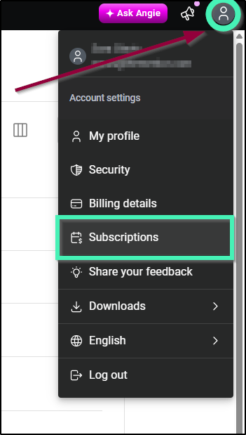 subscriptions menu