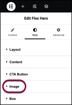 Open the style image field Flex Hero widget 507